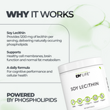 Soy Lecithin DY Life, 60 Softgels, 60 Servings